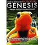 Genesis: Where Are We Coming From?