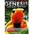 Genesis: Where Are We Coming From?
