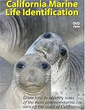 California Marine Life Identification
