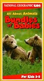 All About Animals - Bundles of Babies All About Animals - Bundles of Babies