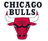 Chicago Bulls Team Auto Window Decal (12 x 10 -inch)
