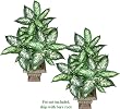 TWO 3' Dieffenbachia Artificial Tropical Silk Plants