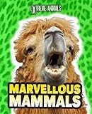 Marvellous mammals