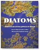 Diatoms: Unnoticed Living Jewels in Water