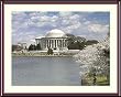 Cherry Trees and the Jerrerson Memorial in Spring Photograph - Beautiful approx. 24"x28" Framed & Matted - 1 7/8" Walnut Toned Wood Frame - Photographic Print by Carol M. Highsmith