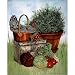 Professionally Framed Chicken and Vegetables Art Print Poster - 16x20 with RichAndFramous Black Wood Frame