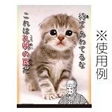����饯�������꡼�֥ץ��ƥ����� ��������̾���� ����� ���Ԥ� ����Ƥ�� ����Ϲ�����櫤���