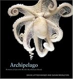 Archipelago: Portraits of Life in the World's Most Remote Island Sanctuary