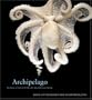 Archipelago: Portraits of Life in the World's Most Remote Island Sanctuary