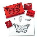 BUTTERFLY LIFE CYCLE STAMP - B000FHC96Q