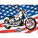 Harley Davidson Freedom Machine Jigsaw Puzzle 500pc