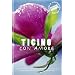 Ticino con Amore: Kulinarische Streifz�ge zwischen dem Lago Maggiore und dem Lago di Lugano