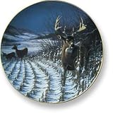 Wild Wings Big Game Plates - Rule 1 Wait Till Dark - B0006U386W