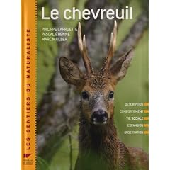 Le chevreuil