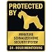 schnauzer32 - PROTECTED BY MINIATURE SCHNAUZER HOME SECURITY SYSTEM PARKING