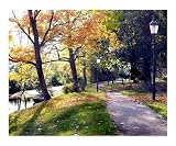 Amersfoort Netherlands, Fall of 2005 Seasons Poster Print by Melody E Koert, 10x8