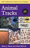 A Field Guide To Animal Tracks