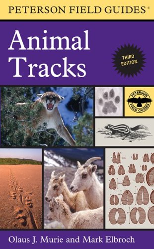 Tracks