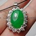 CHARMING CIRCLE 17" WIRE NECKLACE WITH 20X30MM CHRYSOPRASE GIFT PENDANT - from Hibiscus Express