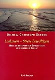 Loslassen - Stress bew�ltigen. Wege zu entspanntem Bewusstsein und besserem Schlaf. Ein Wegweiser durch das Labyrinth unseres Gehirns und der Entspannungstechniken.