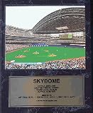 Skydome (Toronto, Canada) 12" x 15" Stadium View Plaque