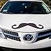 Bits and Pieces - Funny Mustache Magnet - Perfect for Any Large Metal Object - Cars, Refrigerators, Garage Doors
