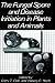 The Fungal Spore and Disease Initiation in Plants and Animals