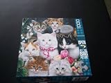 Kitten Fancy 1000 Piece Jigsaw Puzzle