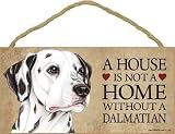 A house is not a home without Dalmatian - 5
