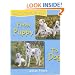 From Puppy to Dog (How Do They Grow)