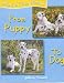 From Puppy to Dog (How Do They Grow?)