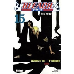 Bleach, Tome 15 : Beginning of the Death of Tomorrow