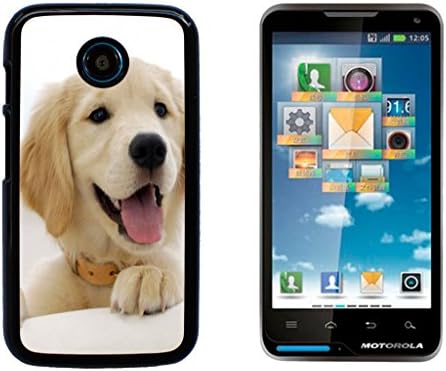 Golden Retriever Dog Hard Plastic and Aluminum Back Case for Motorola Moto E