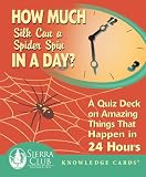 How Much Silk Can a Spider Spin in a Day? A Quiz Deck on Amazing Things That Happen in 24 Hours Knowledge Cards Deck