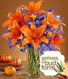 Autumn Spectacular