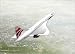 Captain Speaking FS 2002 SE (PC)