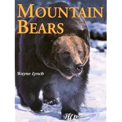 Mountain Bears
