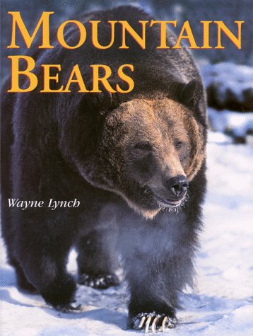 mountain bears