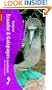 Footprint Ecuador & Galapagos Handbook : The Travel Guide