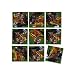 B Dazzle Primates Scramble Squares 9 Piece Puzzle