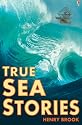 True Sea Stories (Usborne True Stories)