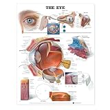 The Eye
