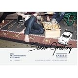 CNBLUE - 2014 Wall Calendar