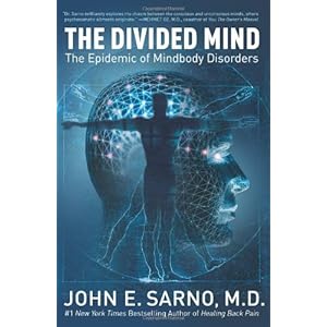 The Divided Mind: The Epidemic of Mindbody Disorders