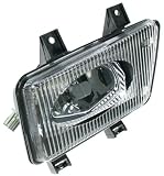 OES Genuine Fog Light