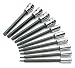 SK Hand Tools 84220 10-Piece 1/4-Inch and 3/8-Inch Drive Long Torx Bit Socket Set