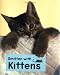 Book SMITTEN WITH KITTENS (LITTLE BOOKS)