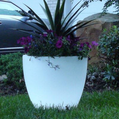 Bon Décor Bowl Pot Planter