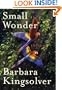 Small Wonder: Essays