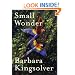 Small Wonder: Essays
